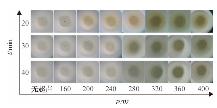 不同密閉消解時間、不同超聲功率的消解效果